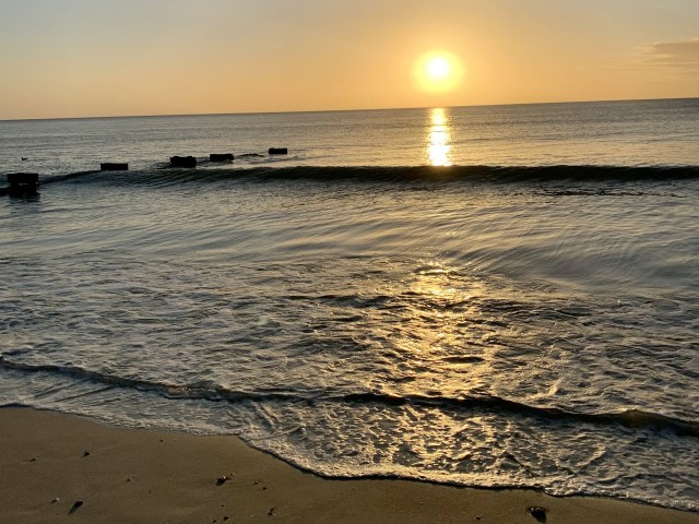 0B4B5ADE-1D3D-4DD9-A1B7-DACAF1FA8260_1_201_a